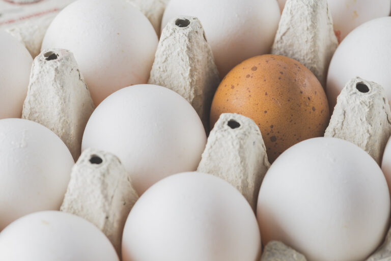 Kvalita vajec vybraných na liahnutie