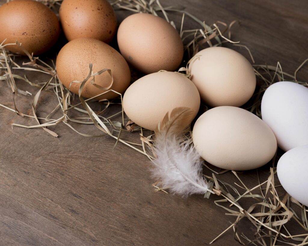 ako uskladniť vajcia pred vyliahnutím
